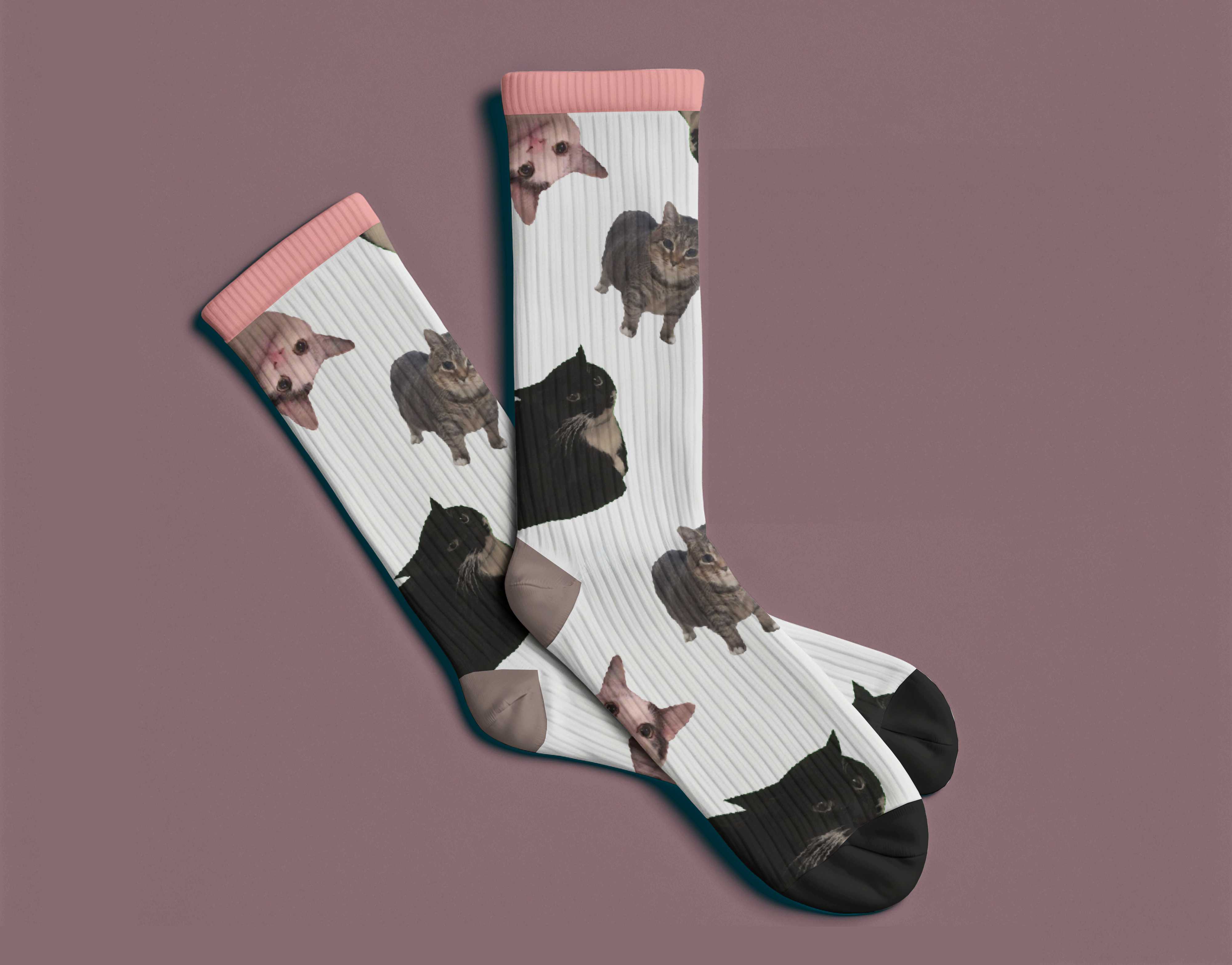 Cozy Cat Socks
